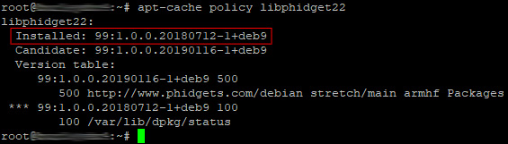 private internet access linux reporting wrong ip